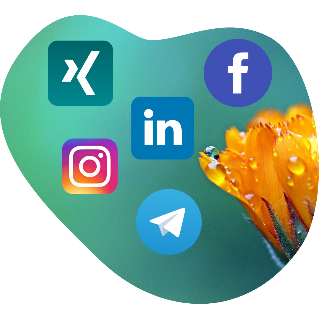 social media